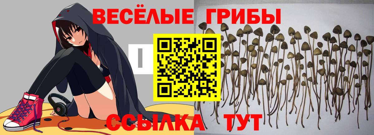 Галлюциногенные грибы GOLDEN TEACHER Тихвин