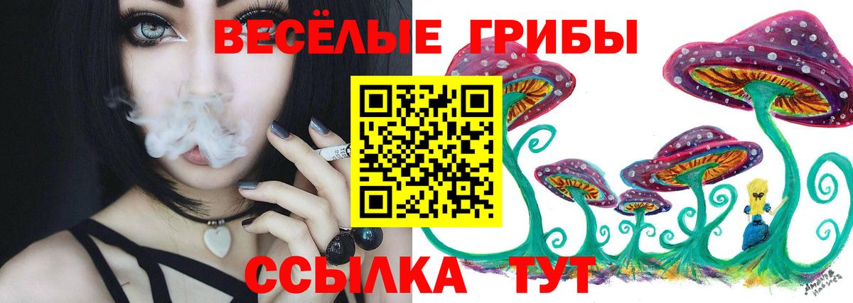 Галлюциногенные грибы Psilocybe  продажа наркотиков  Тихвин  Вход с VPN 